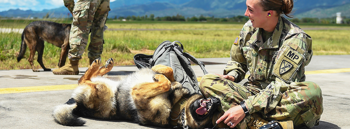 Ad by usamilitarymedals.com