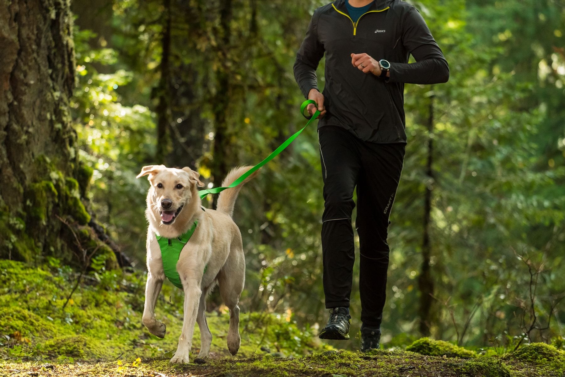 Ad by ruffwear.com