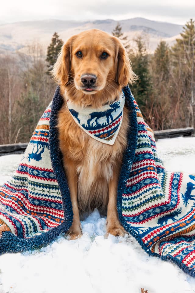 Ad by kieljamespatrick.com