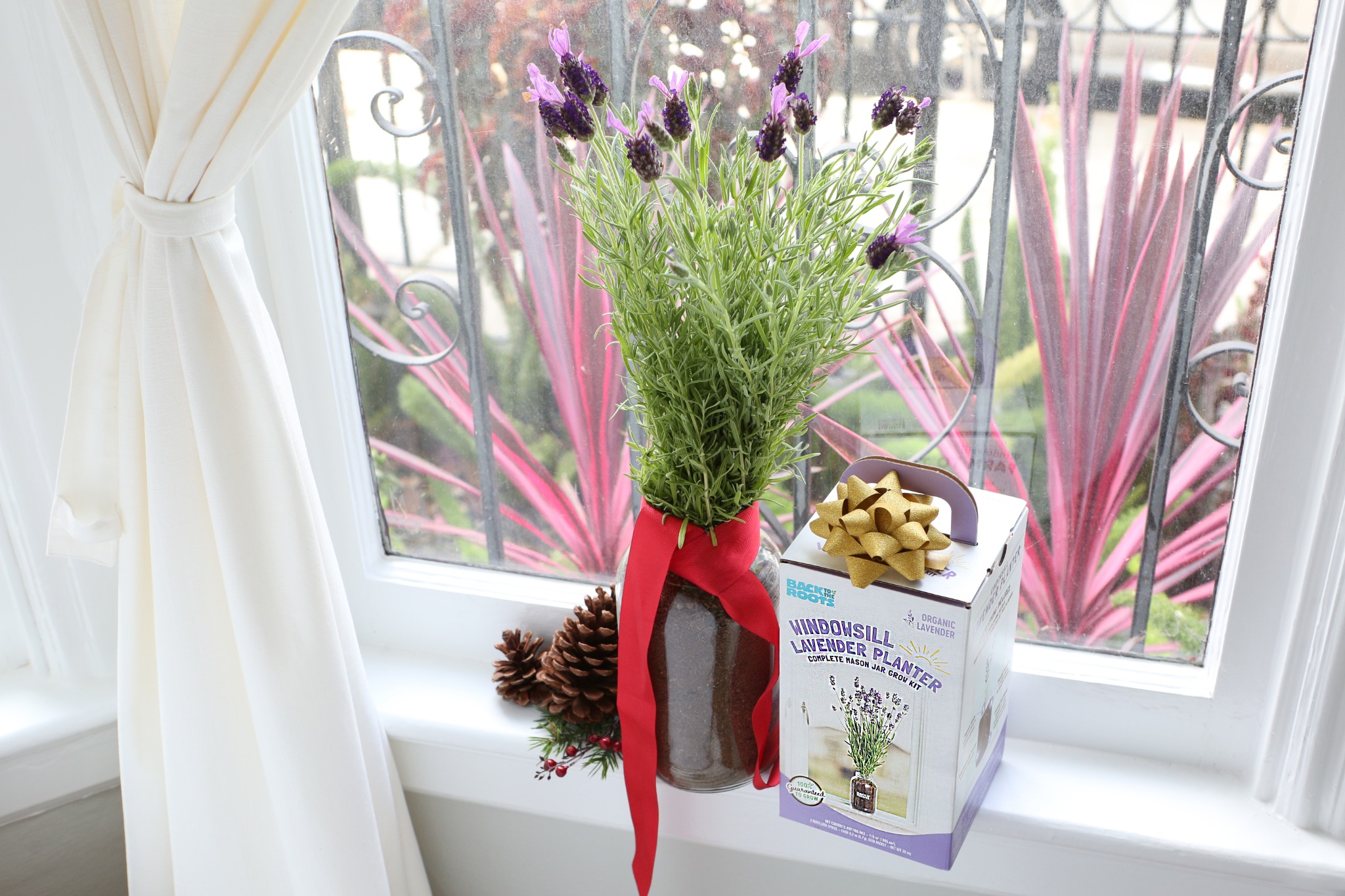 Ad by backtotheroots.com