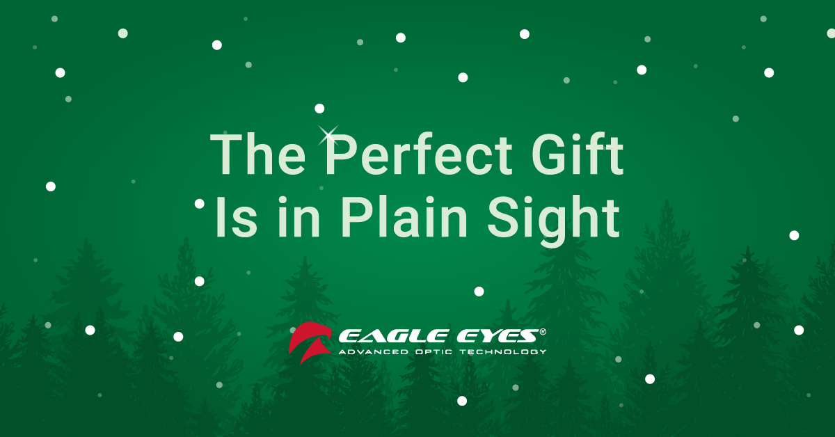 Ad by eagleeyes.com
