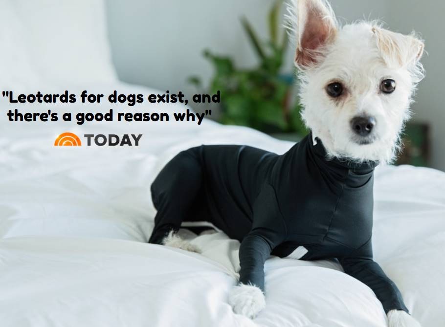Ad by sheddefender.com