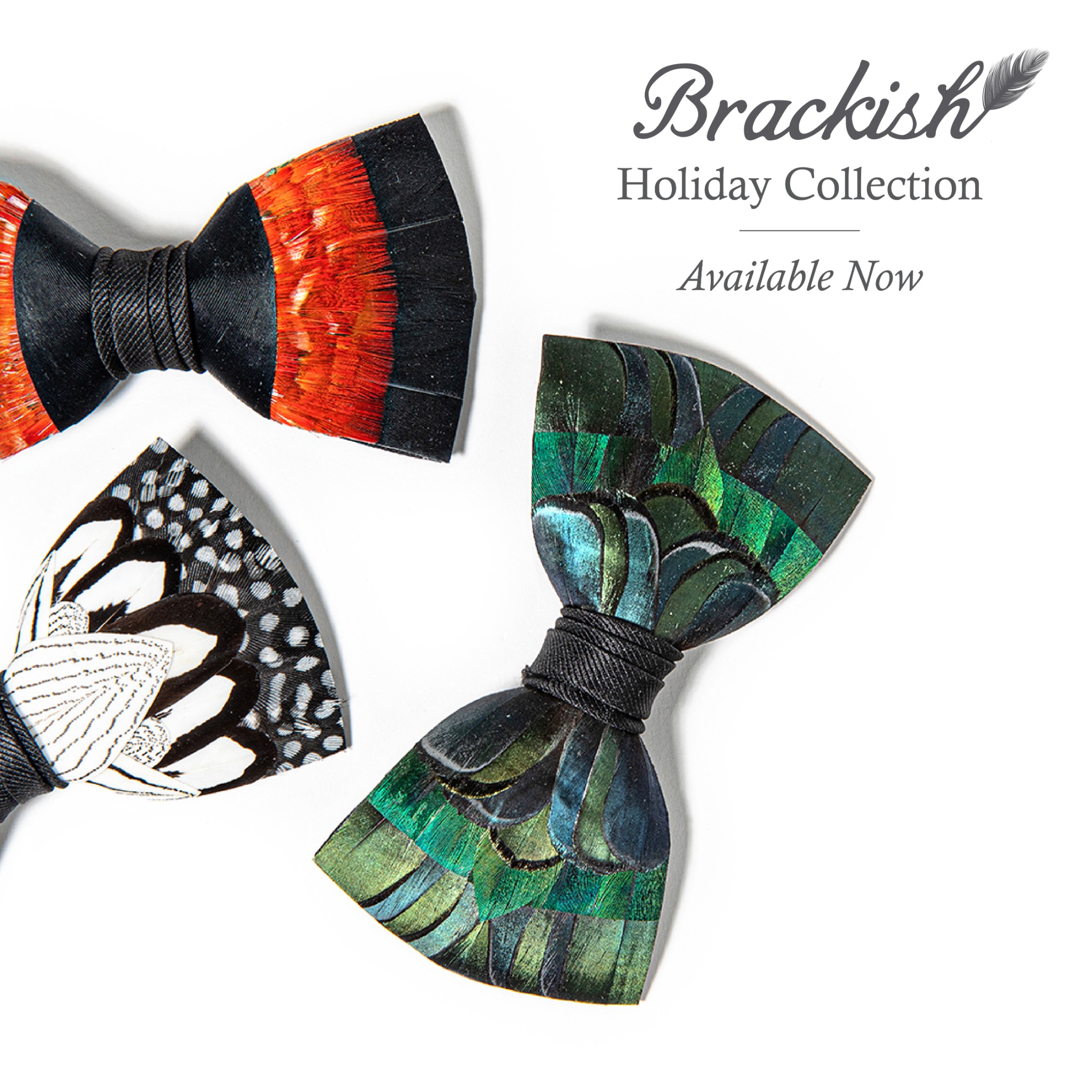 Ad by brackishbowties.com