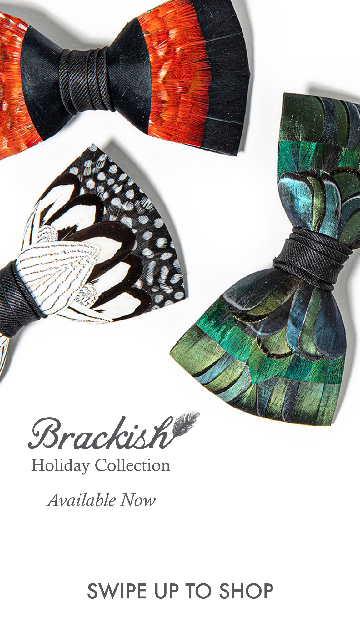 Ad by brackishbowties.com