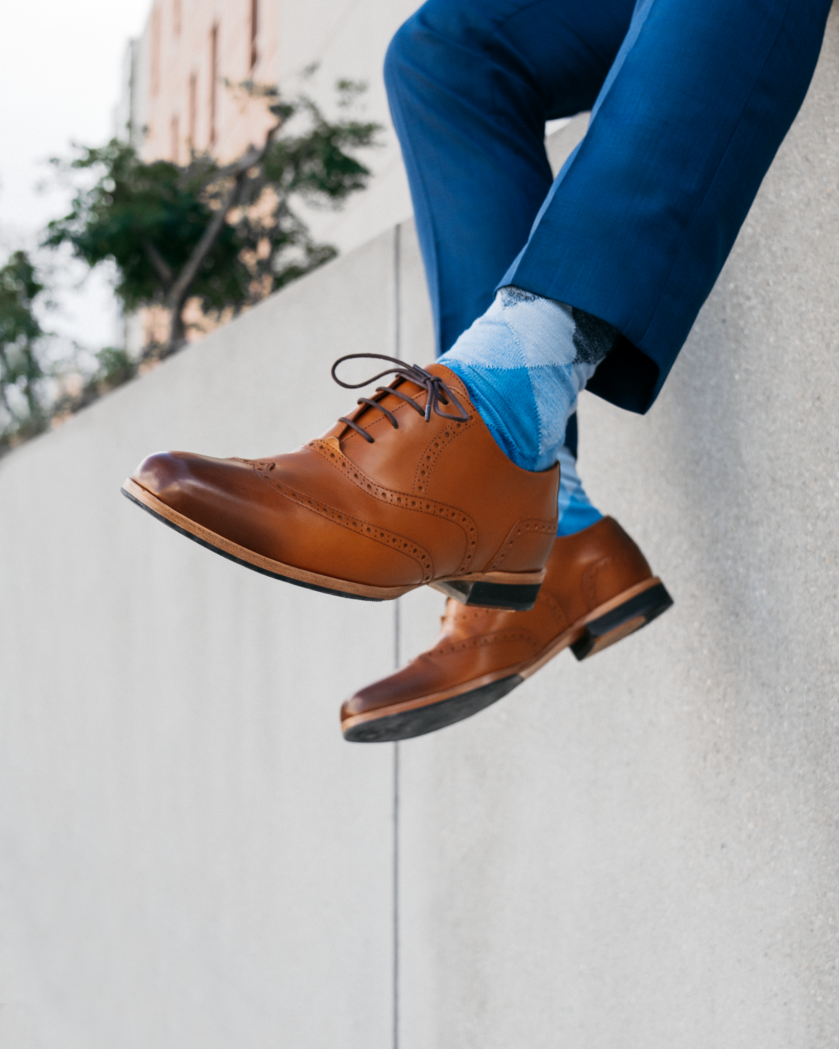 Ad by wolfandshepherd.com