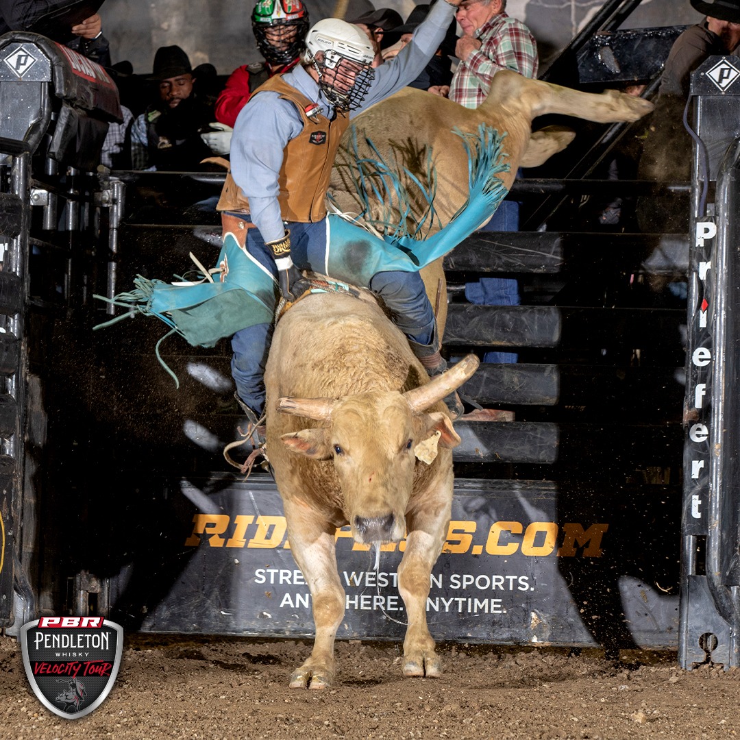 Ad by pbrshop.com