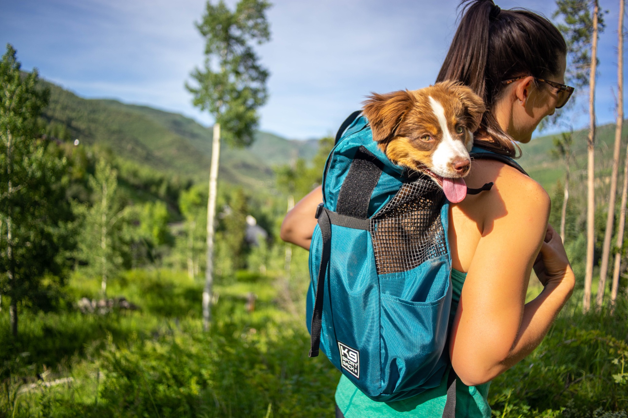 Ad by k9sportsack.com