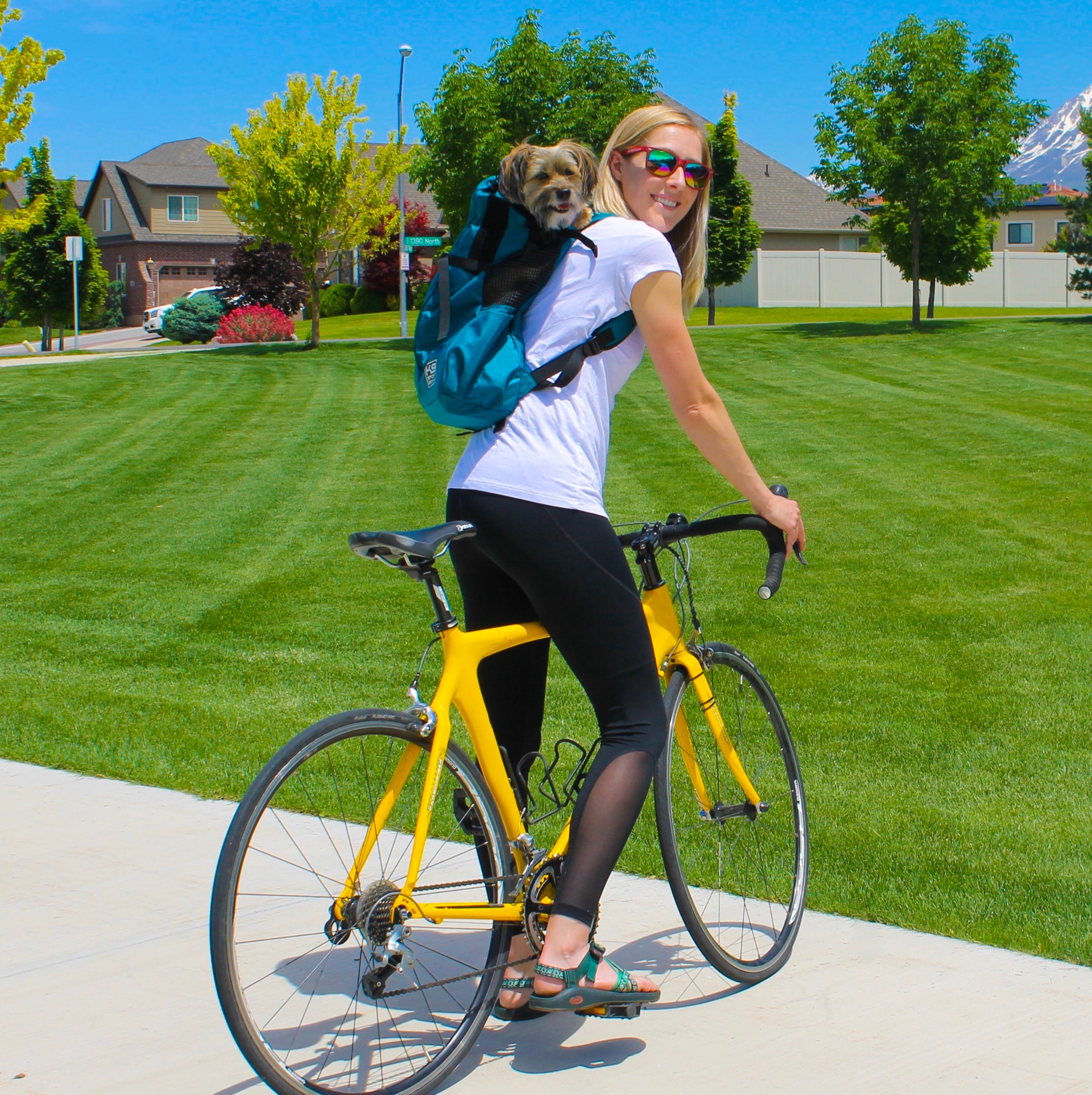 Ad by k9sportsack.com