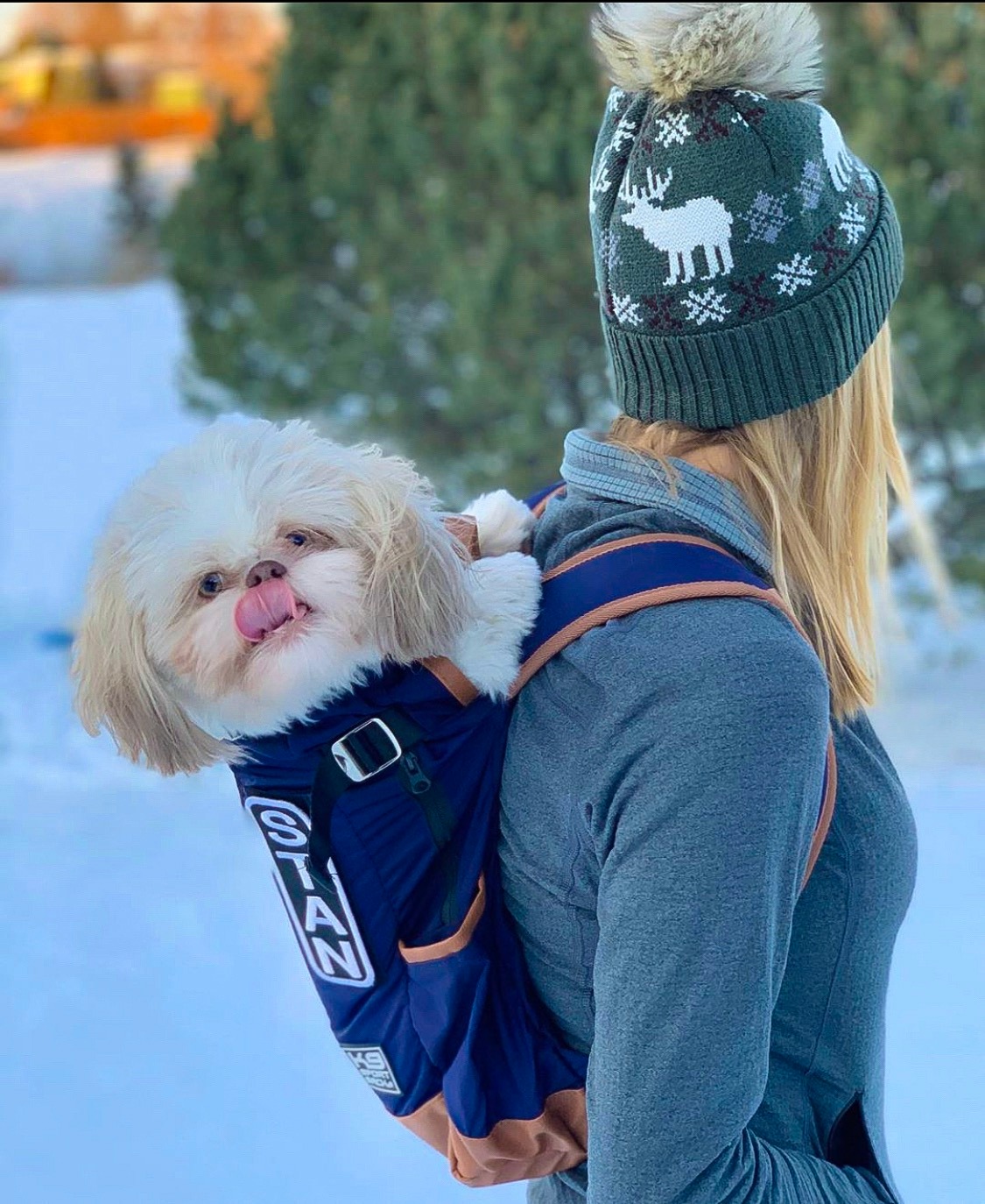 Ad by k9sportsack.com