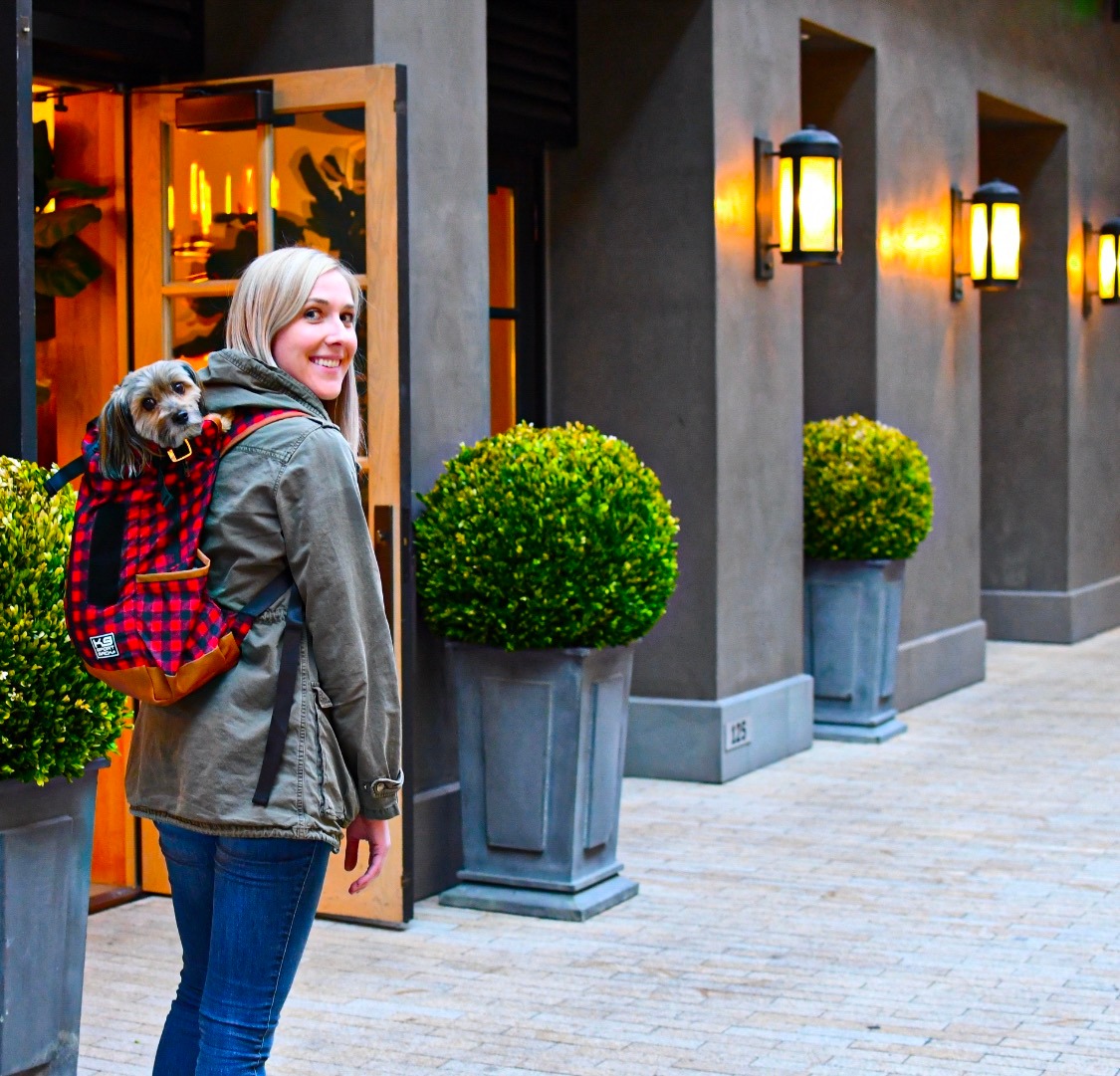 Ad by k9sportsack.com