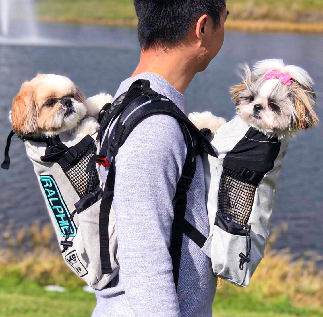 Ad by k9sportsack.com