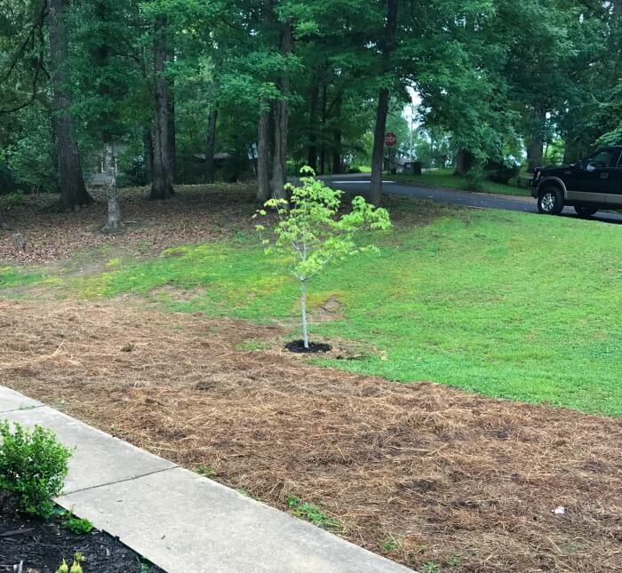 Ad by thelivingurn.com