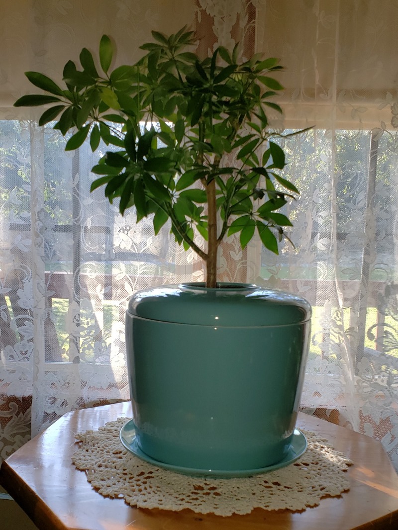 Ad by thelivingurn.com