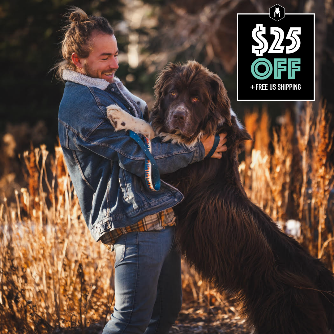 Ad by wolfgangusa.com