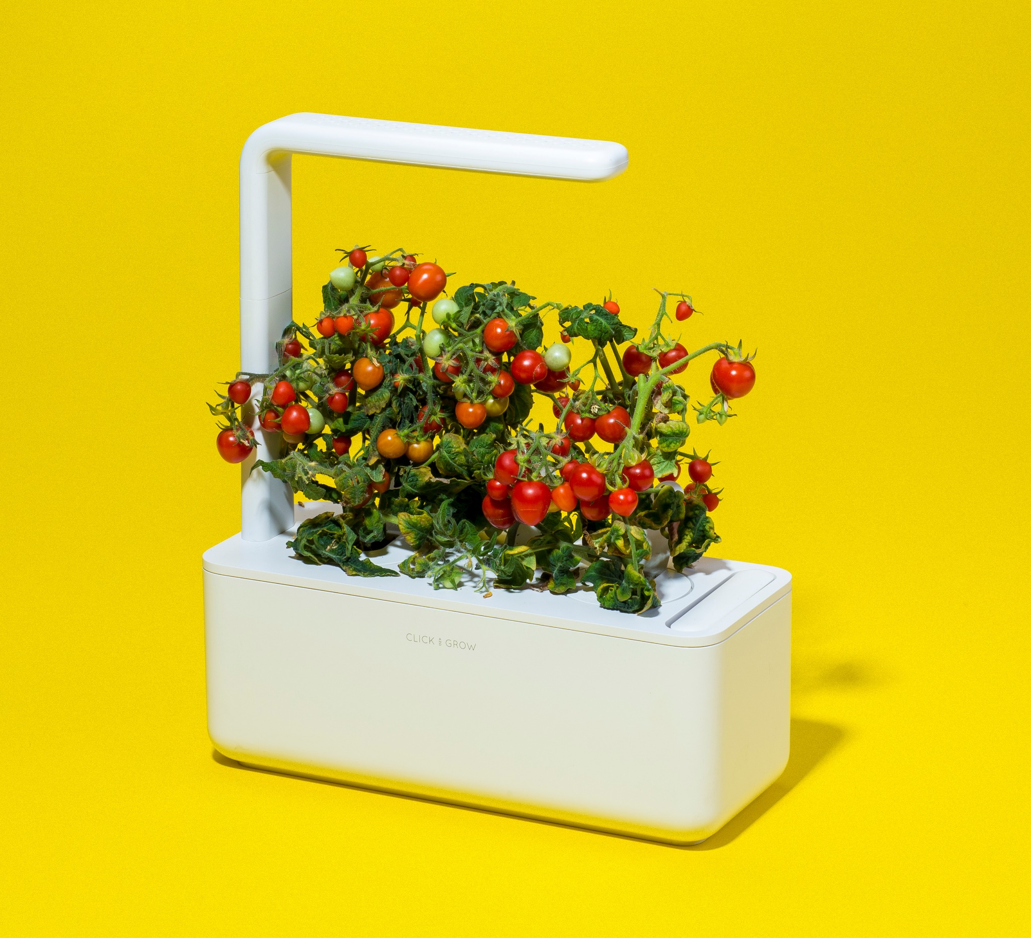 Ad by clickandgrow.com