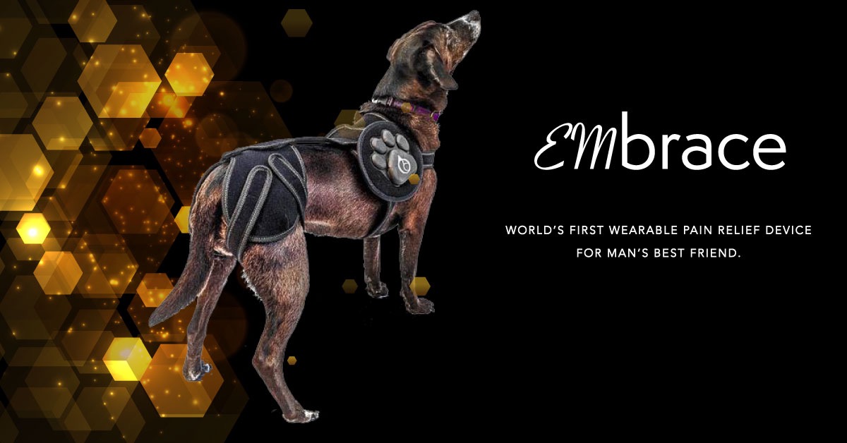 Ad by animalorthocare.com