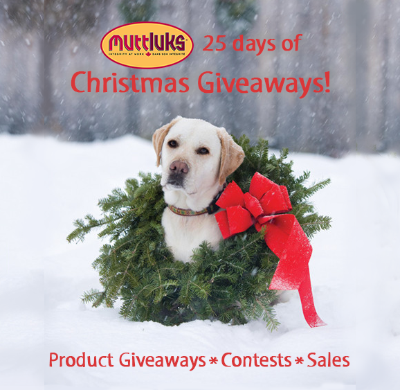 Ad by muttluks.com
