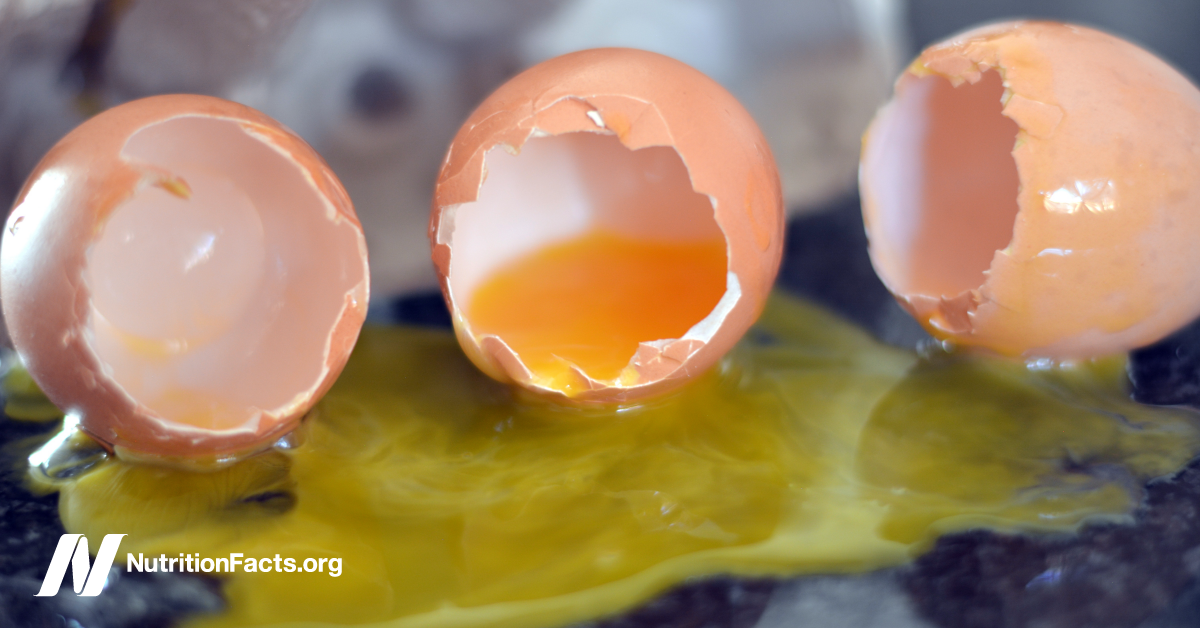 Ad by drgreger.org