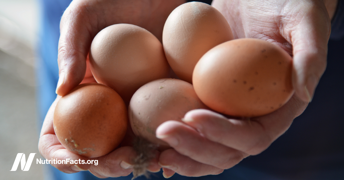 Ad by drgreger.org