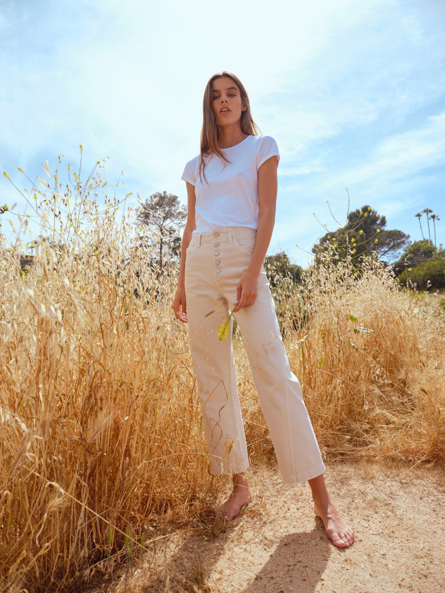 Ad by amodenim.com