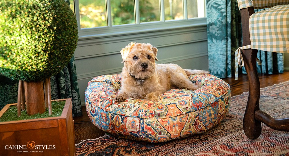 Ad by caninestyles.com