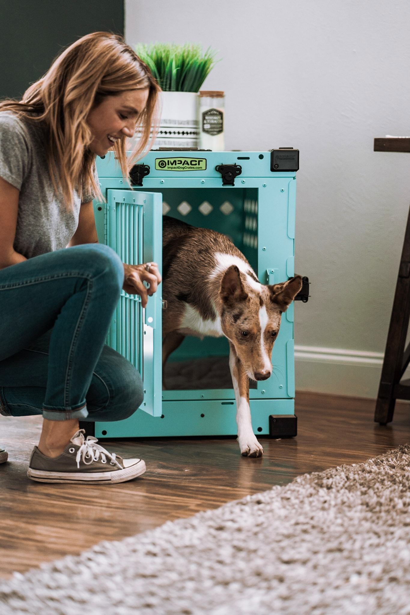 Ad by impactdogcrates.com