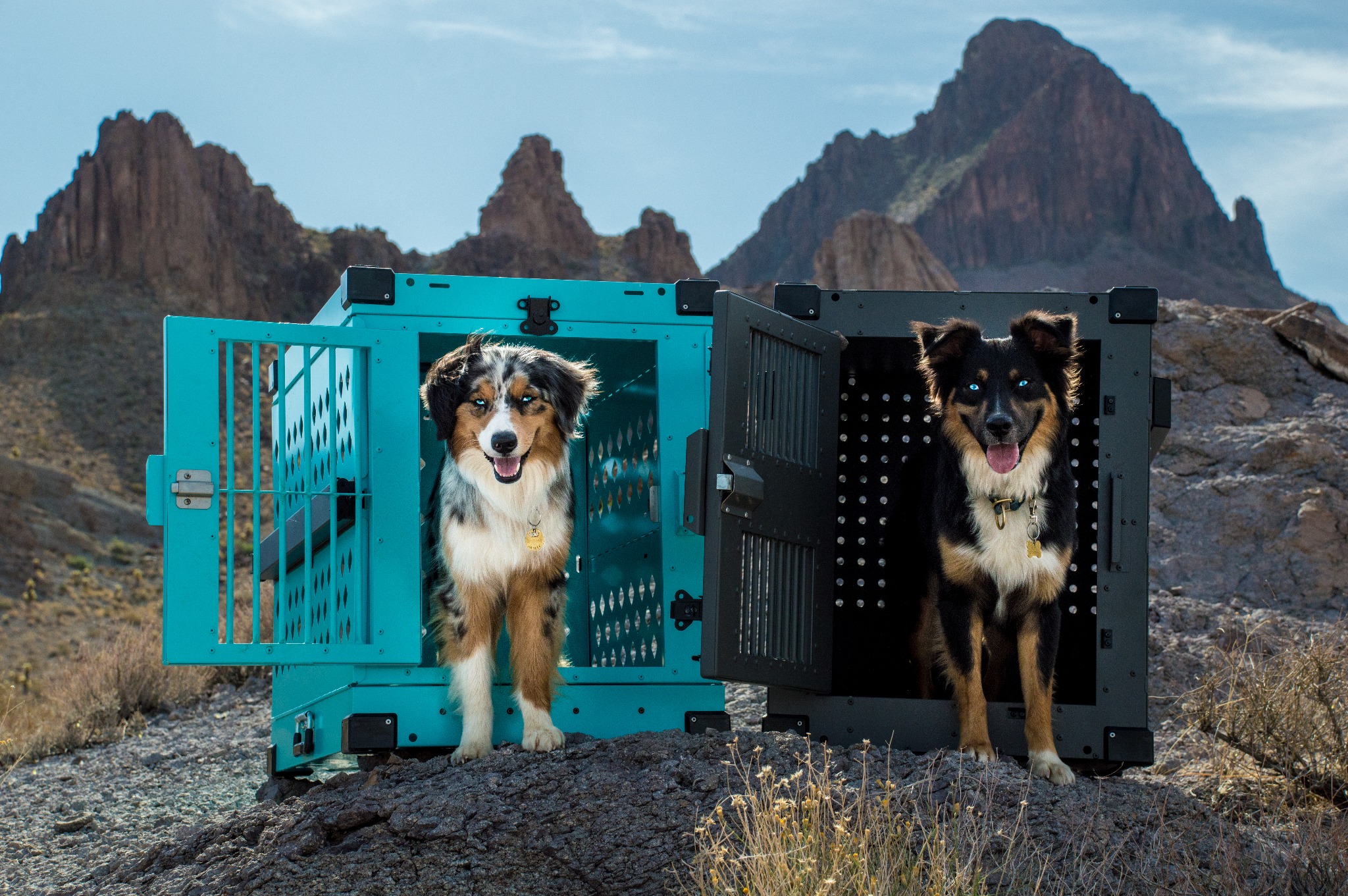 Ad by impactdogcrates.com