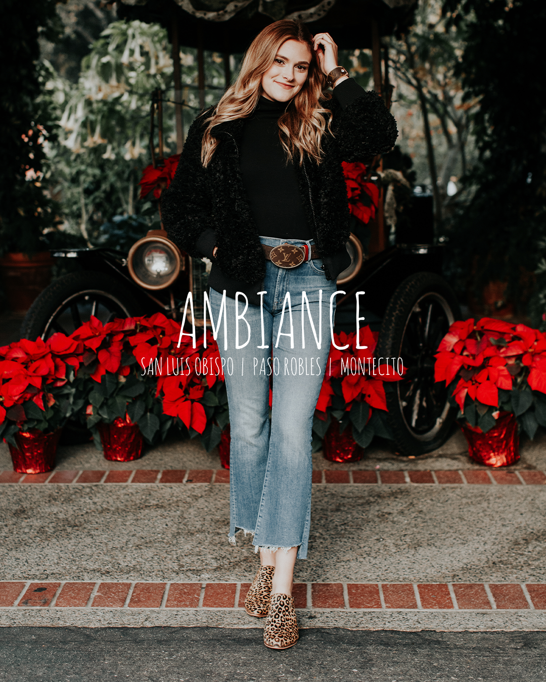 Ad by shopambiance.com