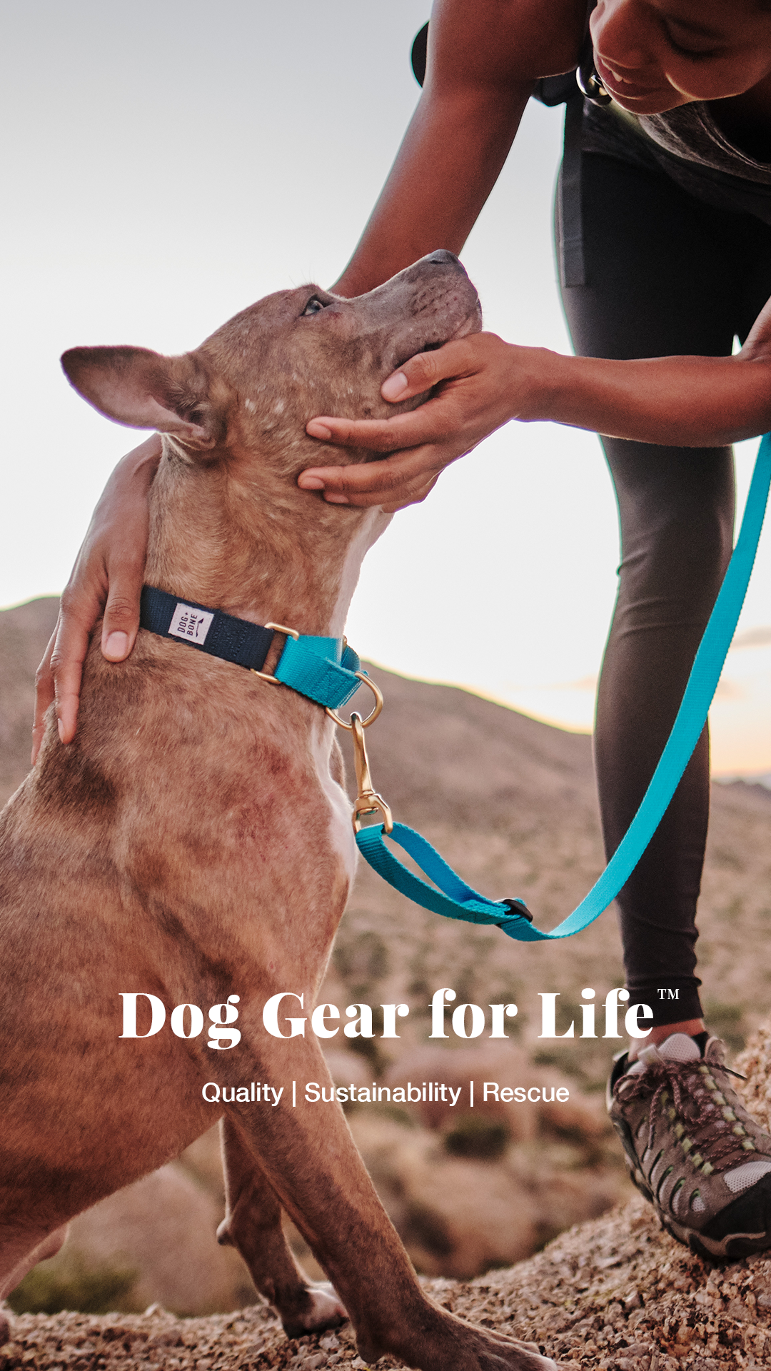 Ad by dogplusbone.com