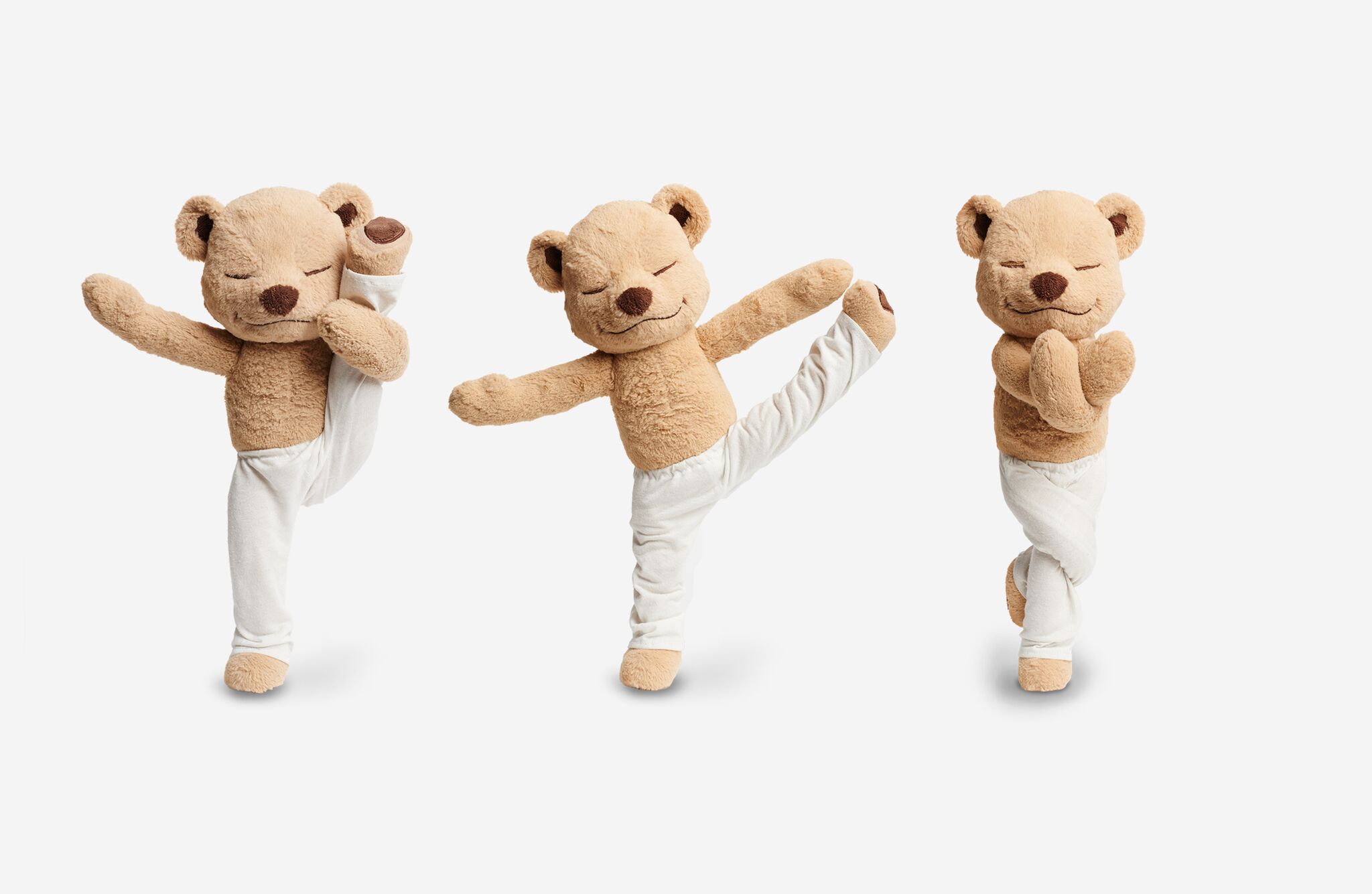 Ad by meddyteddy.com