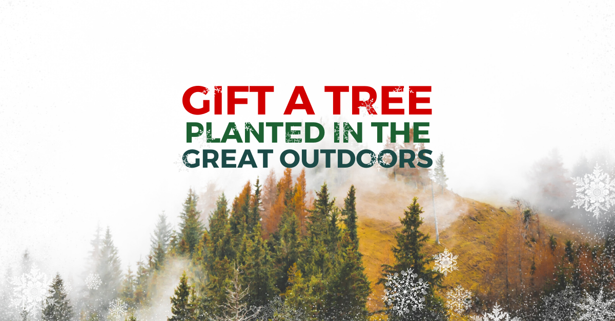 Ad by onetreeplanted.org
