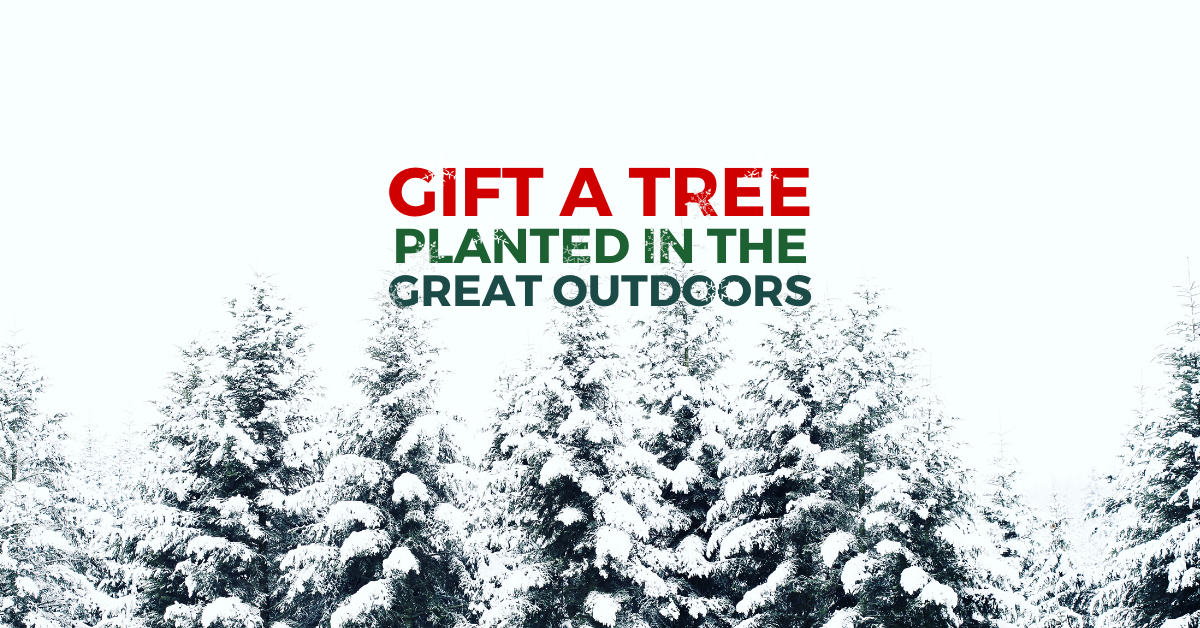 Ad by onetreeplanted.org