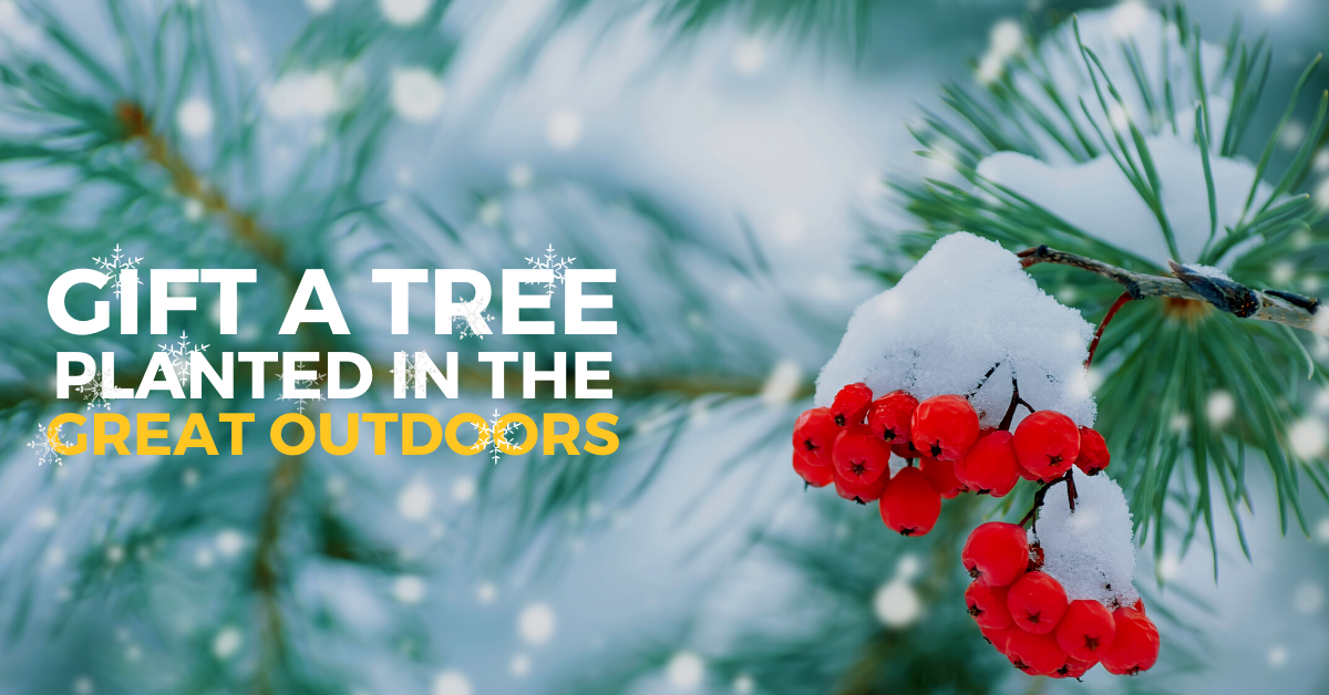Ad by onetreeplanted.org