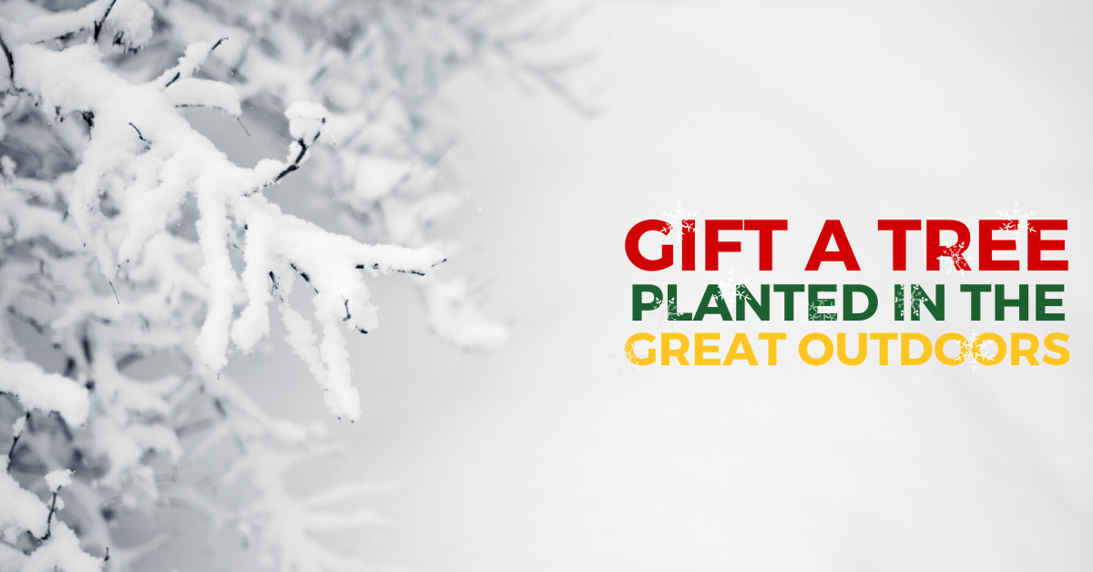 Ad by onetreeplanted.org