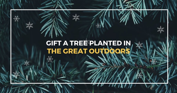 Ad by onetreeplanted.org