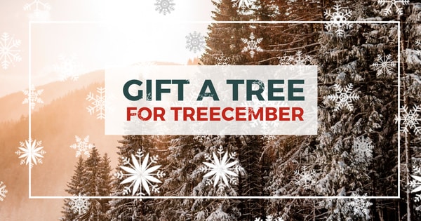 Ad by onetreeplanted.org