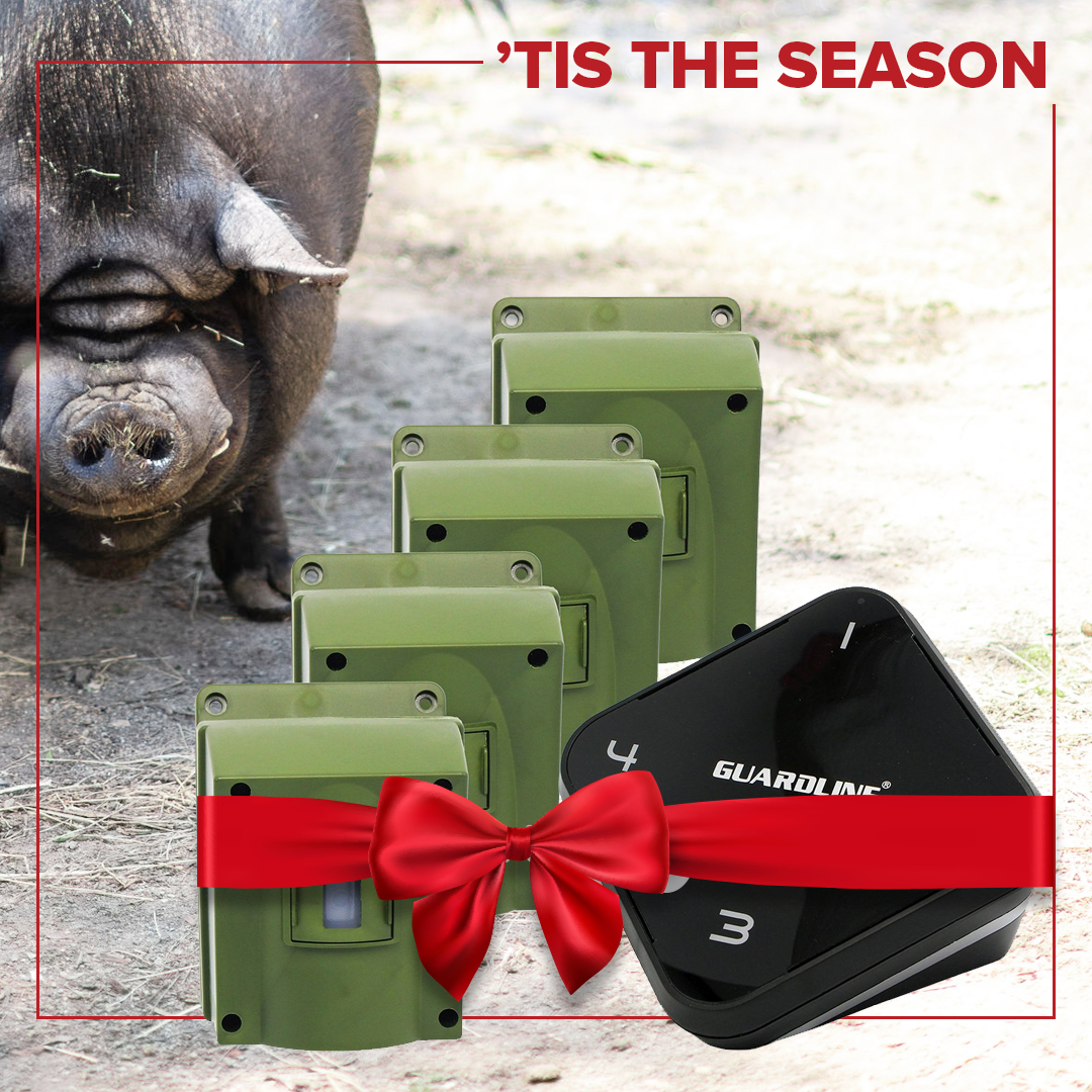 Ad by guardlinesecurity.com