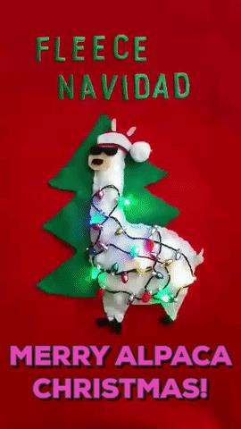 Ad by purelyalpaca.com