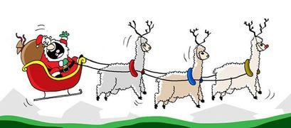 Ad by purelyalpaca.com