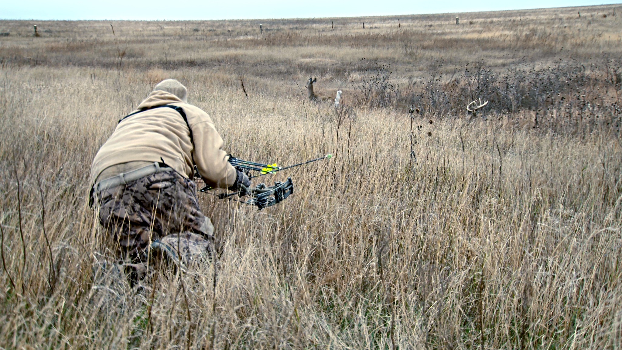 Ad by whitetailadrenaline.com