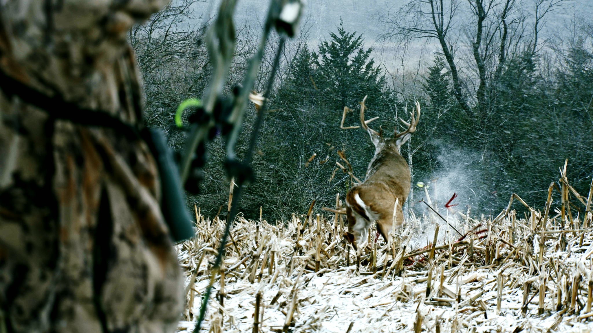 Ad by whitetailadrenaline.com