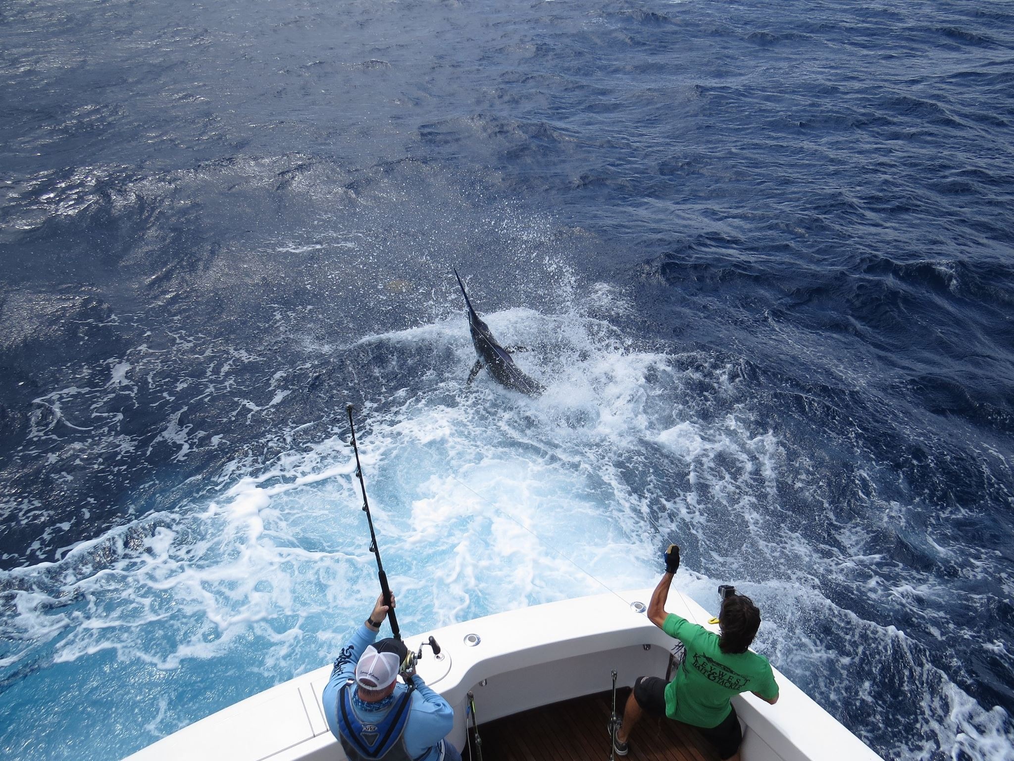 Ad by eatmytackle.com