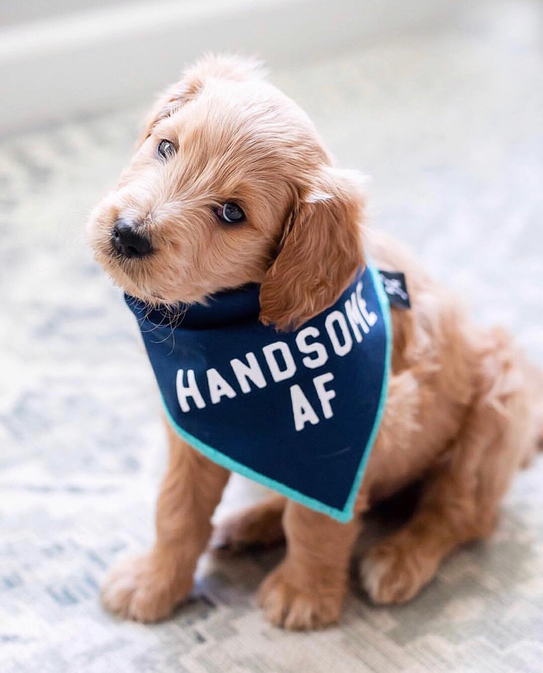 Ad by ripleyandrue.com