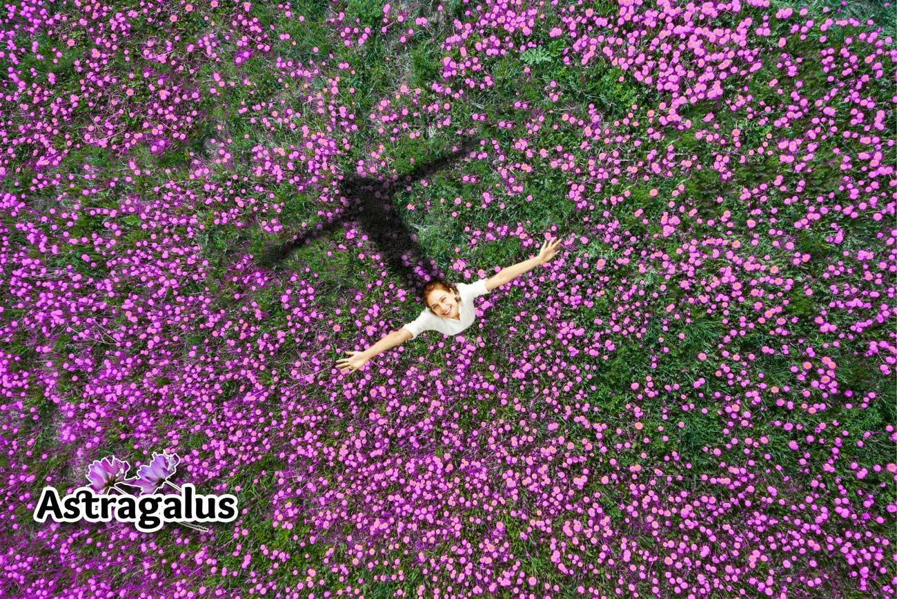 Ad by tonictinctures.com