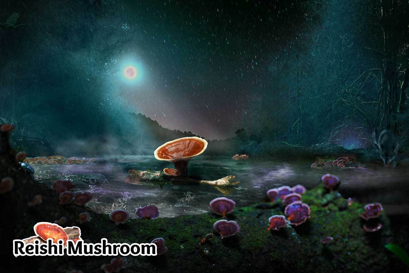 Ad by tonictinctures.com