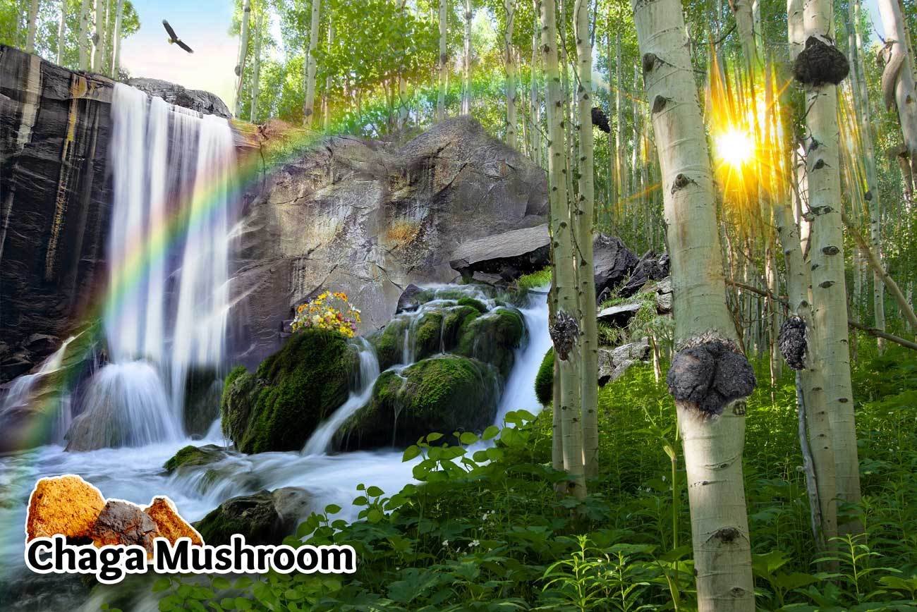 Ad by tonictinctures.com