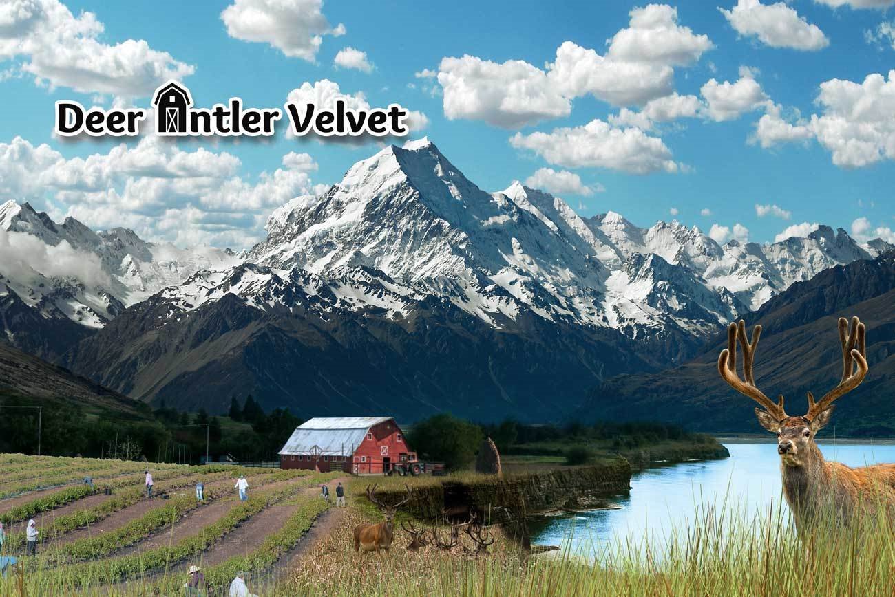 Ad by tonictinctures.com