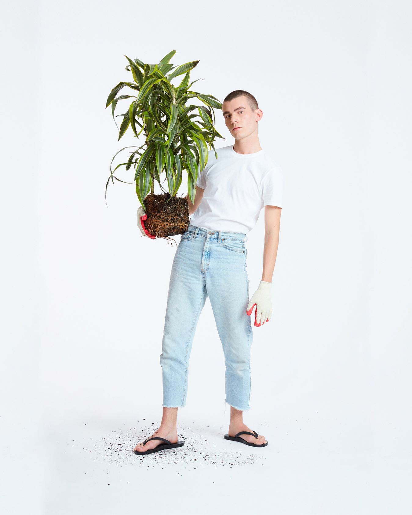 Ad by tidalnewyork.com