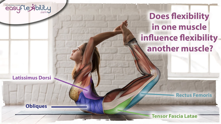 Ad by easyflexibility.com