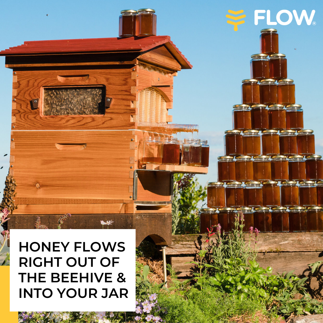 Ad by honeyflow.com.au